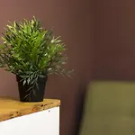 بيت شباب Break N Bed *